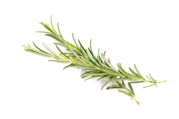 Rosemary spice on the white background.