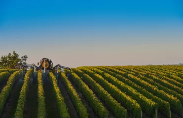 Muurstickers Vineyard landscape-Spraying of grapevines-Vineyard south west of © FreeProd