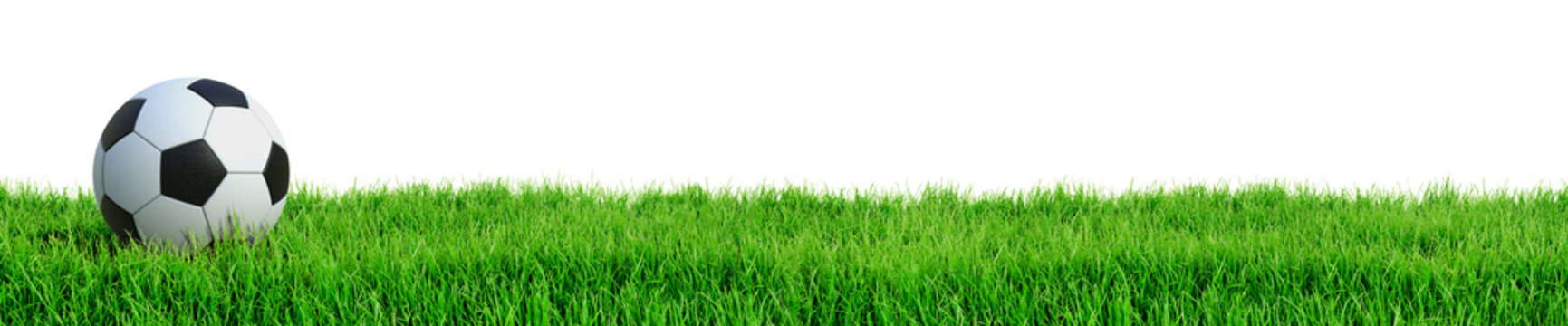 Fußball auf Rasen Panorama isoliert weißer Hintergrund 3D Rendering