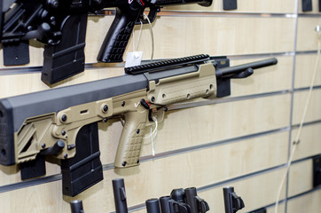 Gun wall rack with rifles