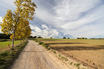 Catalan landscape, way,path,Cami de Sant Benet,Sant Fruitos del Bages, Catalonia, Spain.
