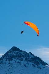 Parapente en montagne