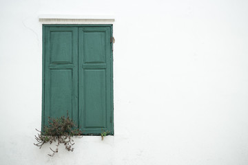 Green window on wall  and dried plant.