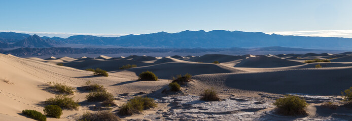 Early morning at Mesquite Flat Sand dunes, Death Valley