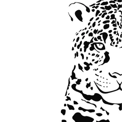 Foto op Plexiglas Black and white vector sketch of a half of a head of a Jaguar. Illustration for your design. © julikul8931