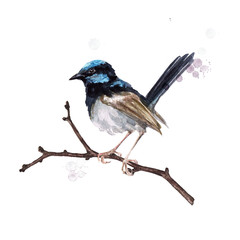 Bird sitting on a twig. Watercolor Illustration.