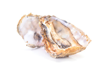 Fresh oyster