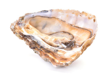 Fresh oyster