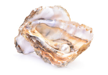 Pearl oyster