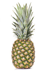 Pineapple fruit