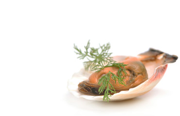 Tasty mussel on a white background