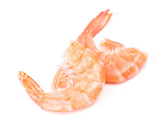 Shrimp on a white background