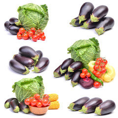 Collection of Eggplants with Other Vegetables