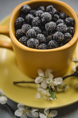 Frozen aronia in orange cup