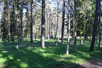 german wwII soldiers POWs cemetery