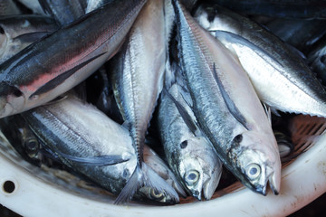 close up of fresh fish in asian grocery market