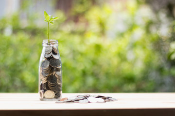 Saving money for a stable future has a coin placed on a wooden desk and a coin is kept in a glass jar and there are trees growing at the bottom of the jar.