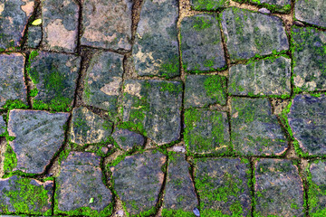 Old brick wall background on the street.