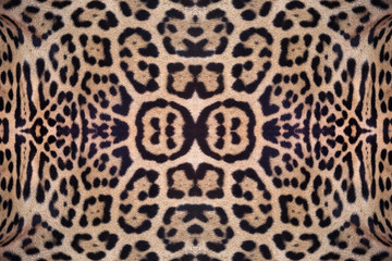 Jaguar skin pattern for the background.