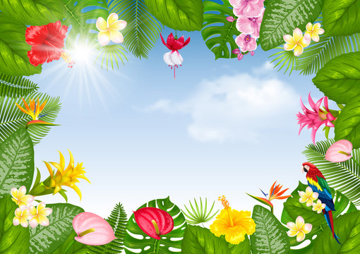 Summer tropical frame design