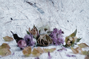 Blurred dry petal of rose on paper from natural for background