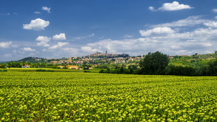 Summer landscape near Volterra, Tuscany
