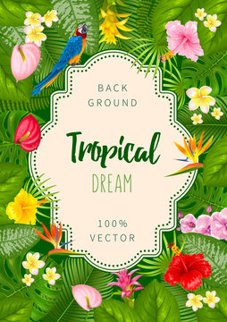 Summer tropical background design