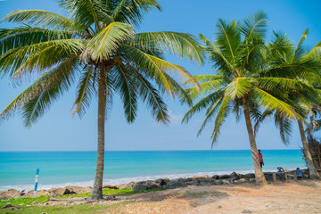 Obraz na płótnie Canvas March 4, 2018. Sri Lanka. Palm trees on the ocean.