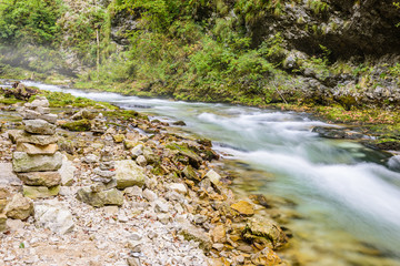 Mountain river Radovna in the Vintgar gorge, a natural Triglav national Park, Slovenia. "Frozen water" - shooting water on a long exposure.