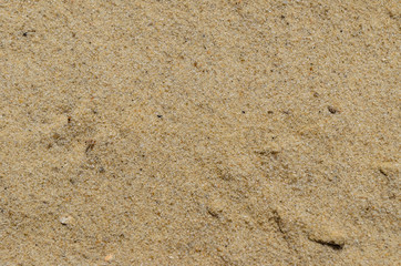 Background of the yellow sand