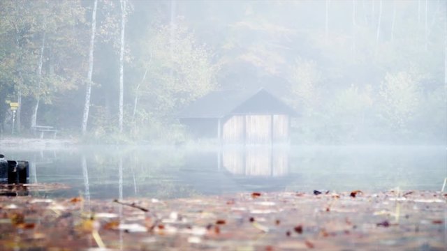 nature shot on a lake