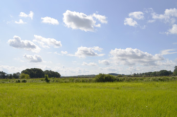 Meadows and trees on the Baltic Sea Island Usedom, Germany, under a blue sky with white clouds and a railroad embankment at the horizon