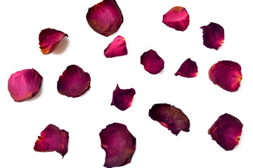 Dry petal of rose isolated on white background - Powered by Adobe