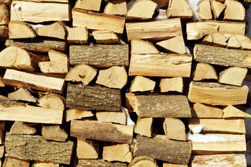 Chopped wood, stacked in a woodpile.
