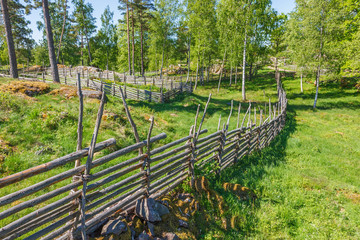 Wooden fence in a forest pasture
