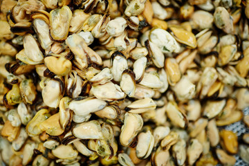 Obraz premium Background of fresh mussels heap ready to be processed before packing
