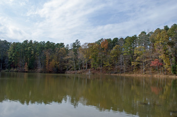 Fototapeta na wymiar trees around lake