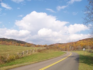 Autumn Road