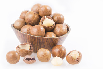 Macadamia nuts - Macadamia integrifolia