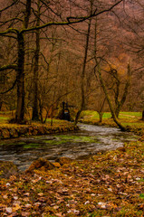 Park Vrelo Bosne