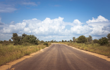 road in the kruger national park in south africa