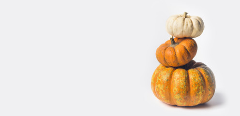 Stack of ripe pumpkins on white background, front view, copy space for text - obrazy, fototapety, plakaty