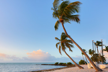 Naklejka na ściany i meble Beautiful sunrise at Smathers Beach with Palm Tree in foreground. Smathers Beach is the largest public beach in Key West, Florida, United States. It is approximately a half mile long