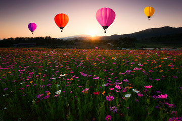 Cosmos landscape and beautiful sunset balloon.