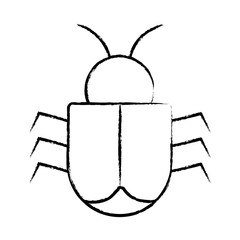 sketch of bug icon over white background, vector illustration