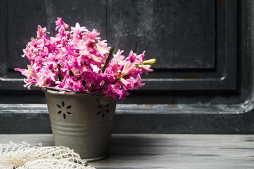 Fototapeta na wymiar Fresh hyacinth spring flowers bouquet