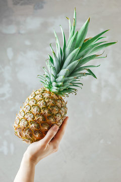 Female hand holding a pineapple on grey background