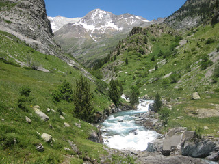 Fototapeta na wymiar Valle de Ordesa, Pireneje, Hiszpania - rzeka w zielonej Dolinie Ordesy