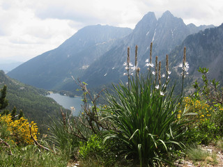 Pireneje, Hiszpania - widok na staw w Parku Narodowym Aigüestortes i Estany de Sant Maurici © Iwona