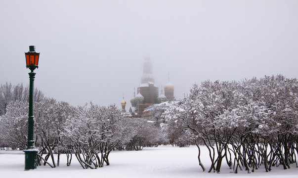 Winter view of the orthodox Church of the Savior on Spilled Blood("Khram Spasa na Krovi") through the trees covered with snow in foggy morning. View from the field of Mars  in St.Petersburg, Russia.